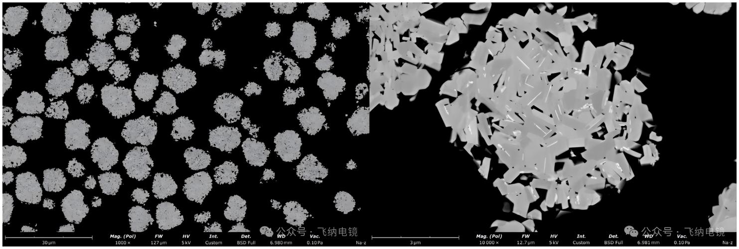 鈉離子電池正極材料與鋰離子電池材料的掃描電鏡對比研究